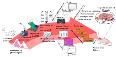 Graphical abstract: Mechanistic insights into a thermoresponsive in situ nanoemulgel of azilsartan medoxomil for intranasal delivery: a promising nanotherapeutic approach to target dementia