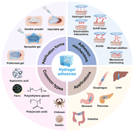 Graphical abstract: Advances in the application of hydrogel adhesives for wound closure and repair in abdominal digestive organs