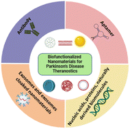 Graphical abstract: Biofunctionalized nanomaterials for Parkinson's disease theranostics: potential for efficient PD biomarker detection and effective therapy