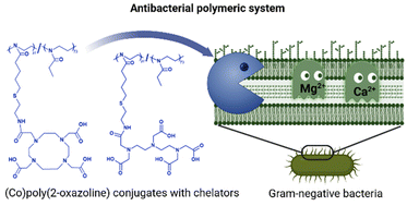 Graphical abstract: Designing antibacterial polymeric systems: (co)poly(2-oxazoline) conjugates with acyclic and macrocyclic polyamino polycarboxylic chelators