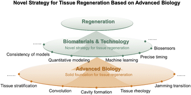 Graphical abstract: Tracing the evolution of biomaterials: insights and challenges in regenerative medicine