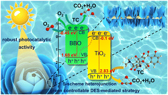 Graphical abstract: Green DES-mediated preparation of the rose-shaped S-scheme heterojunction photocatalyst (β-Bi2O3/Bi2O2.33)/TiO2 to boost antibiotics degradation