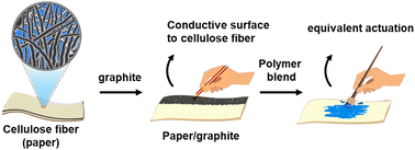 Graphical abstract: Light-stimulated paper/polymer bilayer actuators incorporated with photosensitizers for enhanced actuation