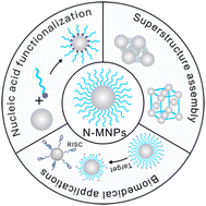 Graphical abstract: Recent advances in nucleic acid-functionalized metallic nanoparticles