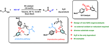 Graphical abstract: Direct organocatalytic esterification of carboxylic acids and alcohols by redox neutral sulfur(iv) catalysis via intramolecularly interrupted Pummerrer intermediates