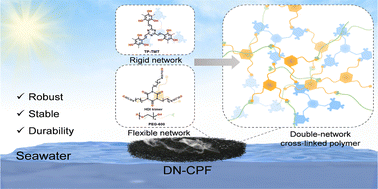 Graphical abstract: A robust double-network polymer evaporator for enhanced solar-driven water purification