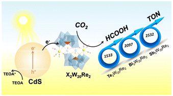 Graphical abstract: Coupling CdS quantum dots with polyoxometalate-supported [Re(CO)3]+ catalysts for efficient photocatalytic CO2 reduction