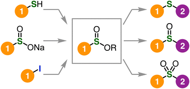 Graphical abstract: Recent advances in the synthesis and transformations of sulfinate esters