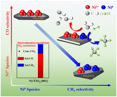 Graphical abstract: Morphology-dependent Ni/TiO2 catalysts for CO2 hydrogenation