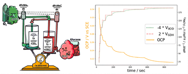 Graphical abstract: Unveiling pseudocapacitance: a kinetic treatment of the pseudocapacitive biosensor