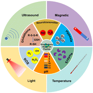 Graphical abstract: Stimuli-responsive peptide-based nanodrug delivery systems for tumor therapy