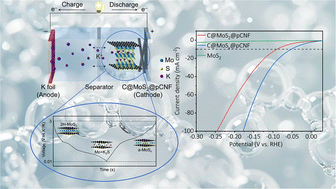 Graphical abstract: Potassium electrochemical optimization of the MoS2 catalytic hydrogen evolution reaction performance