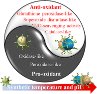 Graphical abstract: Extremes meet: changeover between pro- and antioxidant activities of Cu-based nanozymes