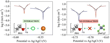 Graphical abstract: The contrasting impacts of polyethylene glycol on electrochemical behaviors of Fe and Zn metal anodes in aqueous batteries