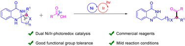 Graphical abstract: Dual-nickel/photoredox-catalyzed acylation of spiro-dihydroquinazolinones with carboxylic acids via an aromatization-driven deconstructive strategy