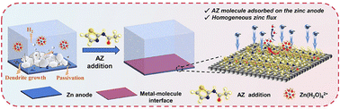 Graphical abstract: Heterocyclic molecule's coordination chemistry induced water-lean interface for achieving stable zinc anode