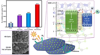 Graphical abstract: Engineering NiCoP nanosheet/ZnSe nanoparticle heterostructures for enhanced photocatalytic hydrogen production