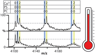 Graphical abstract: Temperature-dependence of membrane protein–lipid interactions in membranes