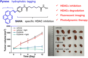 Graphical abstract: A pyrene-based HDAC inhibitor for dual-action therapy of breast cancer