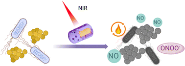 Graphical abstract: S-Nitrosylated Au@COF nanohybrids for synergistic light-nitric oxide killing of bacteria