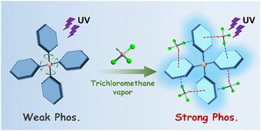 Graphical abstract: Awakening of high-energy phosphorescence by enhanced weak interactions for ratiometric detection of trichloromethane vapor