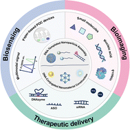 Graphical abstract: DNA-programmed nanomaterials: advancing biosensing, bioimaging, and therapeutic applications
