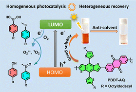 Graphical abstract: Donor–acceptor semiconducting polymers as superior photocatalysts in the homogeneous phase and recycled via an antisolvent precipitation strategy