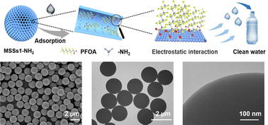 Graphical abstract: Amino-modified high-surface-area radial-pore silica microspheres for efficient perfluorooctanoic acid removal
