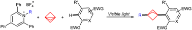 Graphical abstract: Site-selective alkylation of electron-deficient aromatic cycles: visible-light photoredox-catalyzed radical di-functionalization of [1.1.1]propellane