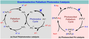 Graphical abstract: Enantioselective palladium photoredox catalysis