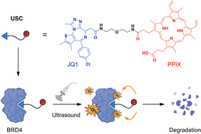 Graphical abstract: An ultrasonically sensitive small-molecule chimera for sono-controllable proteolysis
