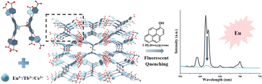 Graphical abstract: Rare-earth-pentacene-octacarboxylate frameworks for highly efficient urinary 1-HP fluorescence sensing