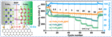 Graphical abstract: Bimetallic FeSe2/CoSe2 heterojunction nanoparticles anchored on porous N-doped carbon nanosheets for high-rate sodium-ion storage