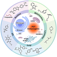 Graphical abstract: Organelle-targeted photodynamic platforms: from ICD activation to tumor ablation