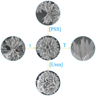 Graphical abstract: Rapid microwave synthesis of size-controllable assembled hydroxyapatite microspheres
