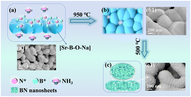 Graphical abstract: Controllable synthesis of 3D-BN hollow nanonets for thermal-conductive epoxy composites
