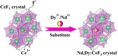 Graphical abstract: Structure, optical properties and energy transfer analysis of Nd3+, Dy3+ co-doped CeF3 crystal for potential laser application