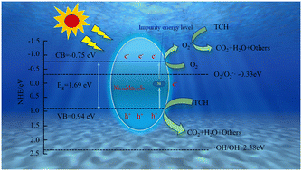 Graphical abstract: Investigation on the degradation mechanism of tetracycline hydrochloride by self-assembled Ni-doped MoS2 photocatalyst
