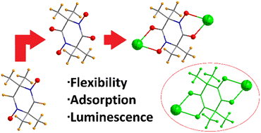 Graphical abstract: Solvatomorphism, CO2 adsorption and luminescence properties of non-aromatic bis-hydroxamate-based metal–organic frameworks