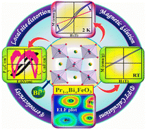 Graphical abstract: Implications of magnetic dilution of PrFeO3 with Bi3+ on its dielectric and magnetic properties
