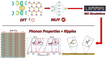 Graphical abstract: Revealing the role of ripples in phonon modes for MoS2 and MoSe2: insights from molecular dynamics and machine learning