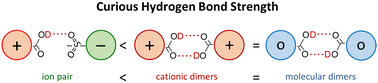 Graphical abstract: An archetype of hydrogen bonding observed in cationic dimers of carboxy-functionalized ionic liquids by means of NMR solid state spectroscopy – reminiscent of salt bridges, peptides and DNA