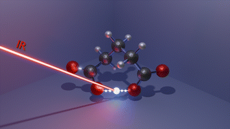 Graphical abstract: Intramolecular proton bonding in aliphatic dicarboxylate anions: dynamic conformational landscapes and spectral signatures