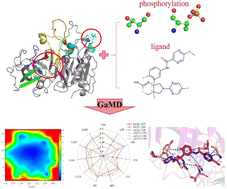Graphical abstract: Molecular mechanism of phosphorylation-mediated impacts on the conformation dynamics of ligand-bound BACE1 probed by Gaussian accelerated molecular dynamics