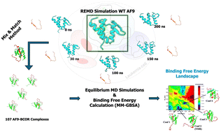 Graphical abstract: Exploring the binding free energy landscape of intrinsically disordered protein–protein interactions: insights into the AF9–BCOR complex implicated in leukemia