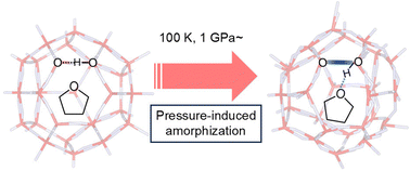 Graphical abstract: Similarities between the tetrahydrofuran clathrate hydrate after pressure-induced amorphization and aqueous tetrahydrofuran solution: an in situ Raman and infrared spectroscopic study