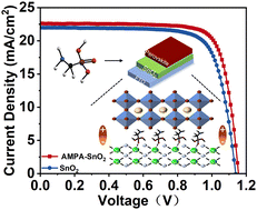 Graphical abstract: Dual-anchor interface engineering with a phosphonic acid modifier for improving perovskite solar cell performance