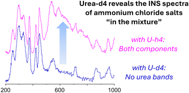 Graphical abstract: Decoding disorder: unravelling entropy effects in deep eutectic systems with neutron spectroscopy