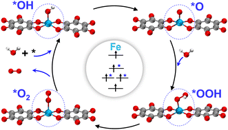 Graphical abstract: Spin: an essential factor in advancing the oxygen evolution reaction on 2D Fe-MOF