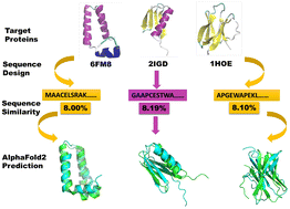Graphical abstract: Preserving structural integrity: fold reproducibility in computational design of proteins non-homologous to wild-type sequences